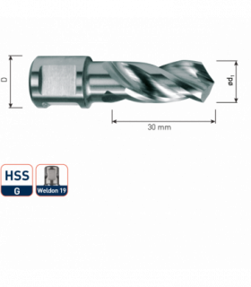 HSS-E Spiraalboor, weldon 19mm, ø12x30mm per 0 2
