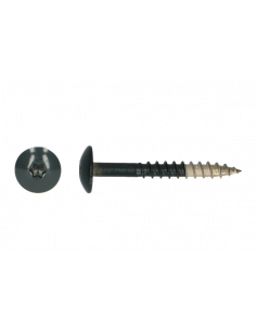 Platbolkopschrf Trespa * 4,8x 25x7016 A2 indruk T20 - RAL...