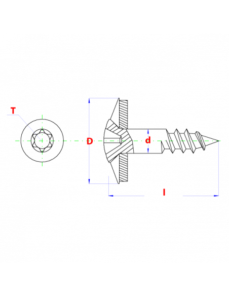 Spenglerschroeven - Houtschroef+EPDM Din 7995 T20 * 4 50x55 A2 opgevulkaniseerde EPDM ring 20mm  gemonteerd  (100st)