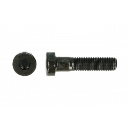 Lage bzk.schroef 8.8 Din 7984 M  5x16   (500st)